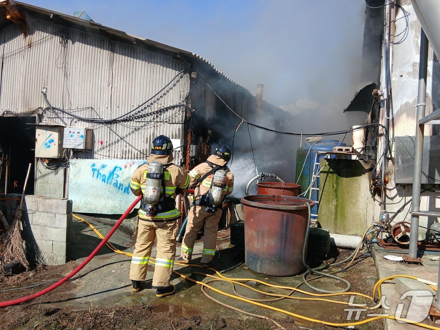 본문 이미지 - 정읍 돈사 화재 현장.&#40;전북소방본부 제공. 재판매 및 DB금지&#41;