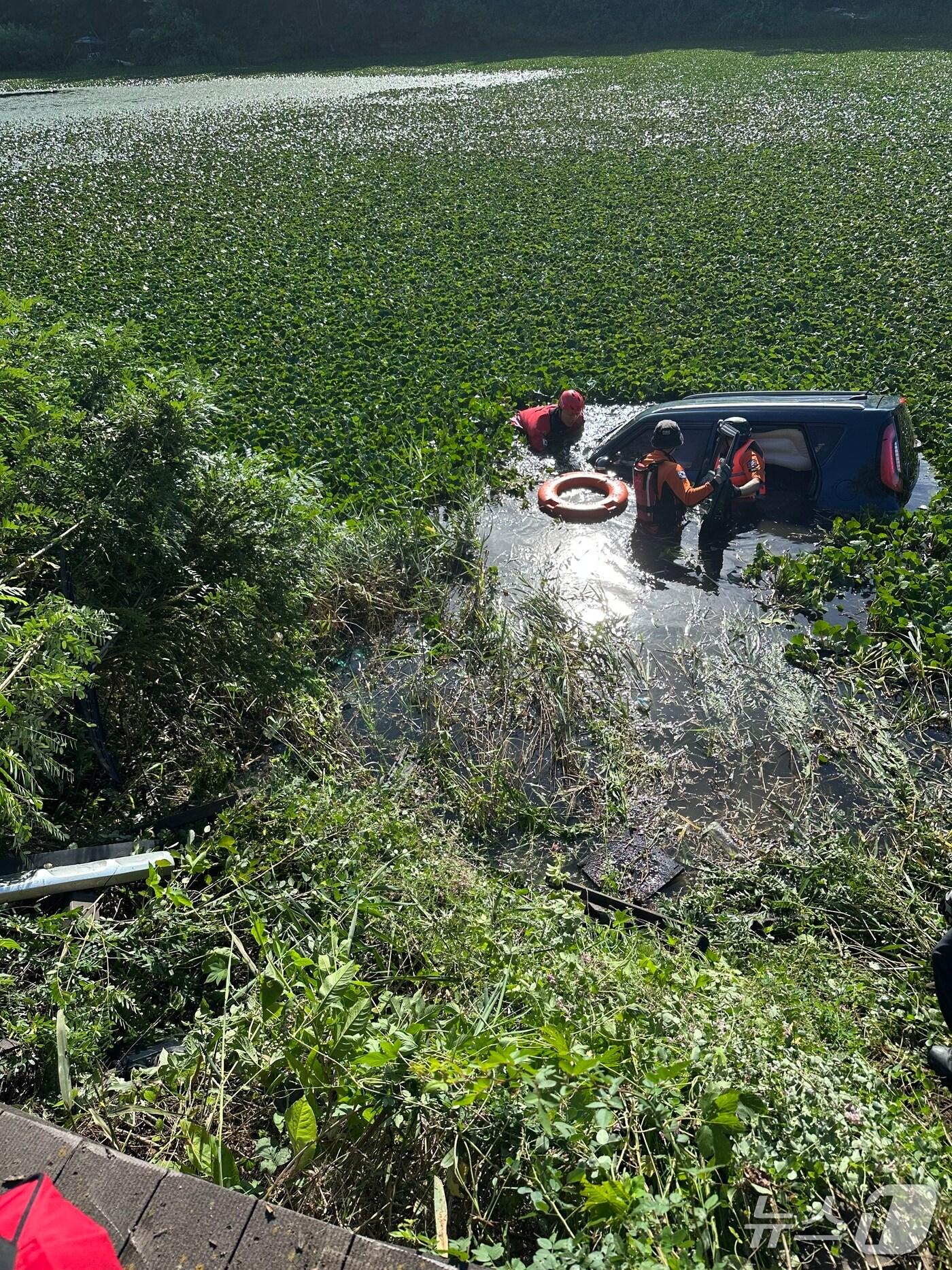 본문 이미지 - 14일 오전 8시23분쯤 경북 영천시 도동의 한 저수지에 승용차가 추락해 구조대원들이 운전자를 구조하고 있다. 다행히 운전자는 다치지 않았다.(경북소방본부 제공. 재판매 및 DB 금지)2025.8.15/뉴스1