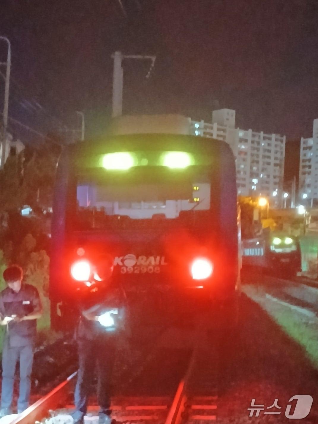 본문 이미지 - 14일 오후 8시30분쯤 경북 칠곡군 왜관읍 대경선 선로에서 60대 여성이 달리는 열차에 부딪혀 숨졌다.(경북소방본부 제공. 재판매 및 DB 금지)2025.8.15/뉴스1