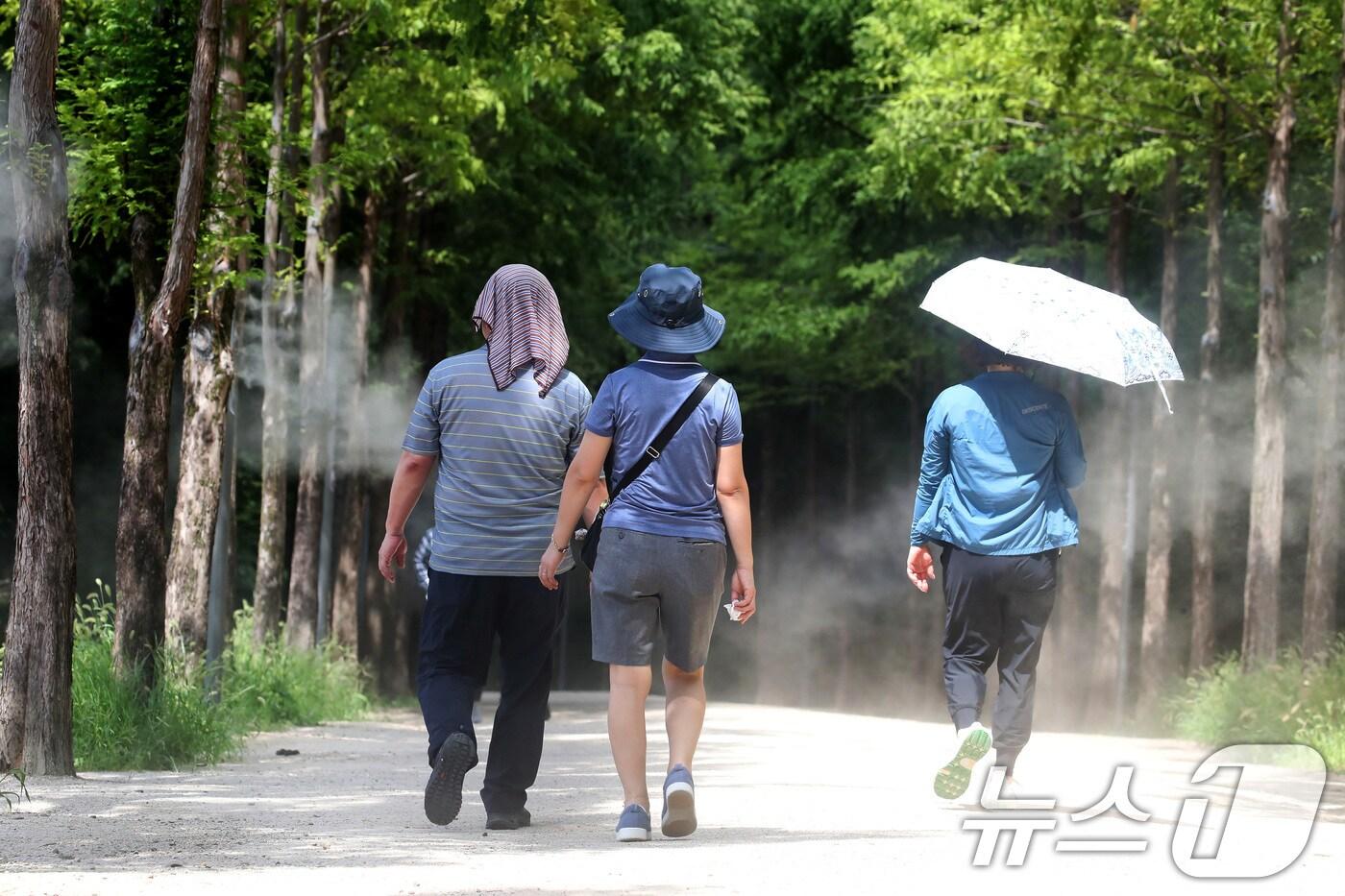 대구 남구 고산골 등산로에 쿨링포그가 가동돼 무더위에 지친 시민들의 더위를 식혀주고 있다. 2025.8.15/뉴스1 ⓒ News1 공정식 기자