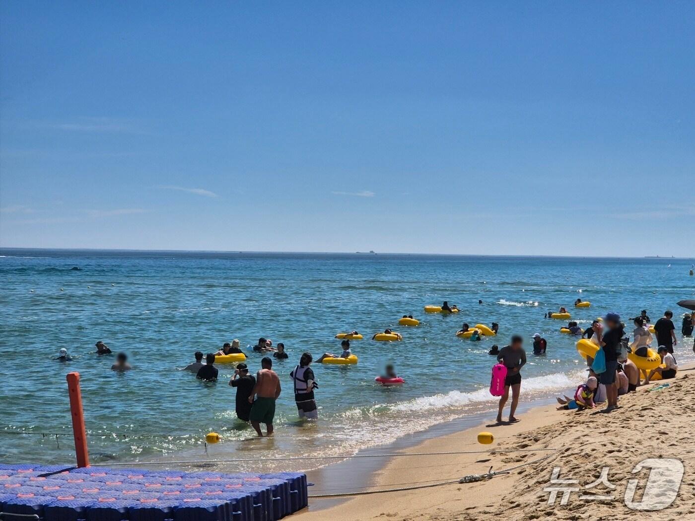 본문 이미지 - 주말인 16일 강원 강릉 경포해수욕장을 찾은 피서객들이 물놀이를 즐기고 있다, 2025.8.16/뉴스1 윤왕근 기자