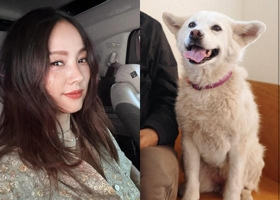 본문 이미지 - 사진=이효리 인스타그램