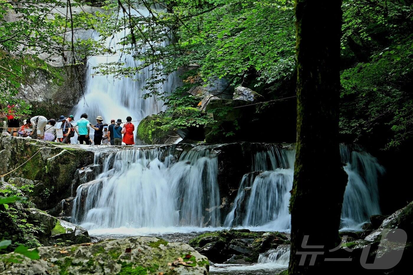 피서객들이 지난 16일 오후 강원 인제 기린면 방태산 이단폭포에서 더위를 식히고 있다. 최고의 자연 풍광을 자랑하는 이 폭포는 두 개의 폭포가 이어져 있어 '이단폭포'라는 이름을 갖게 됐다. (인제군 제공. 재판매 및 DB 금지) 2025.8.17/뉴스1 ⓒ News1 이종재 기자