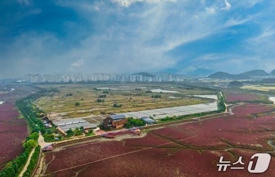 본문 이미지 - 인천시 남동구 소래습지생태공원.(인천시 제공)/뉴스1