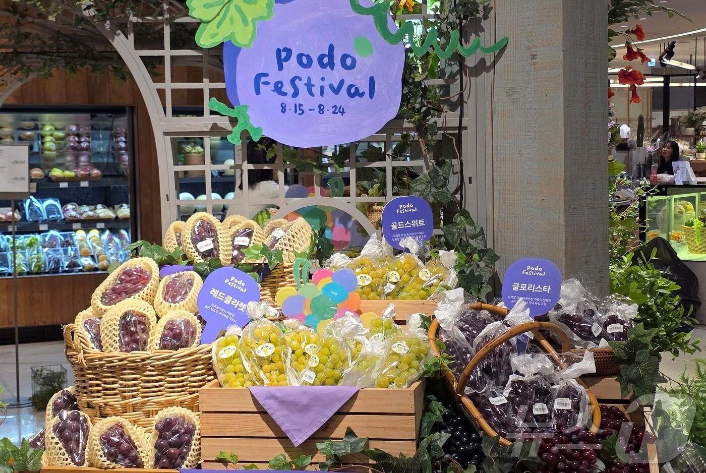 경북농업기술원은 17일 샤인머스켓 일변도 구조에서 벗어나기 위해 자체 육성한 포도 신품종 보급과 수출 확대에 속도를 내고 있다.(경북도 제공, 재판매 DB 금지) ⓒ News1 김대벽기자