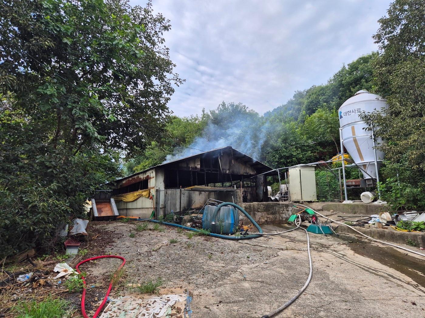 본문 이미지 - 불이 난 홍성 은하면 돼지농장.(홍성소방서 제공. 재판매 및 DB금지)/뉴스1 