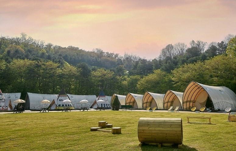 본문 이미지 - (워커힐 호텔앤리조트 제공)