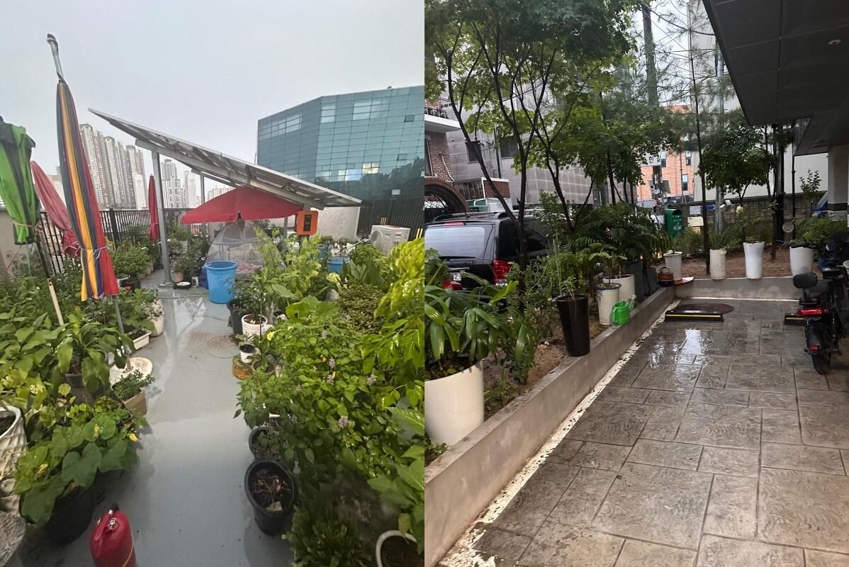 본문 이미지 - 옥상과 주차장 모습. &#40;&#39;보배드림&#39;&#41;