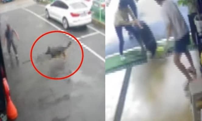 본문 이미지 - (JTBC '사건반장' 갈무리)