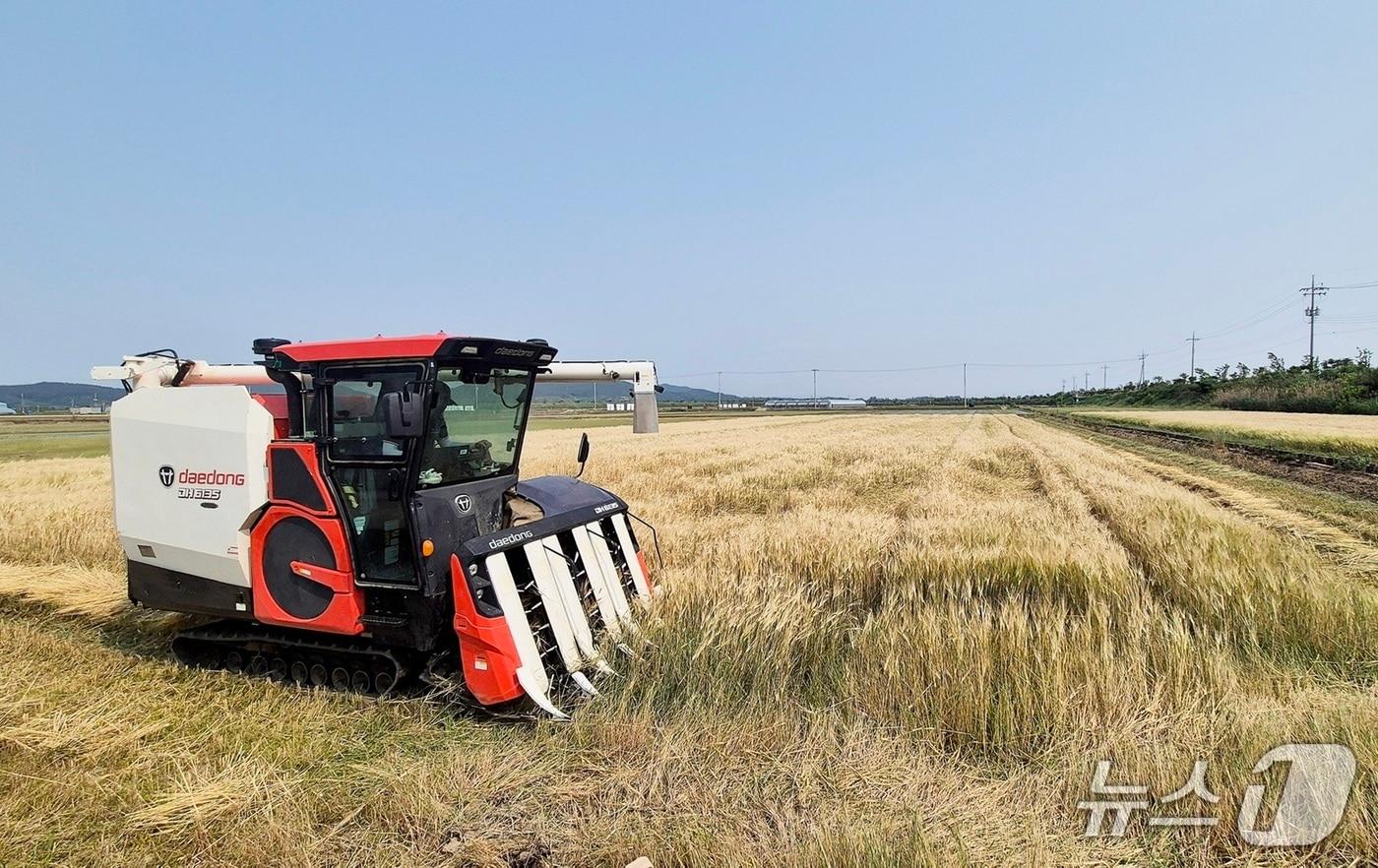 대동 DH6135-A 콤바인 작업 사진(대동 제공)