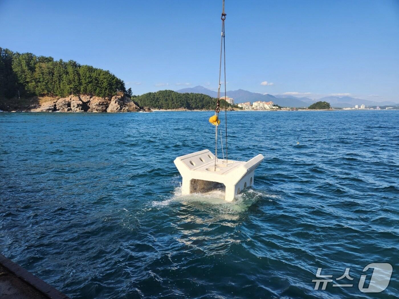 본문 이미지 - 문어 어초.(양양군 제공, 재판매 및 DB 금지) 2025.8.18/뉴스1