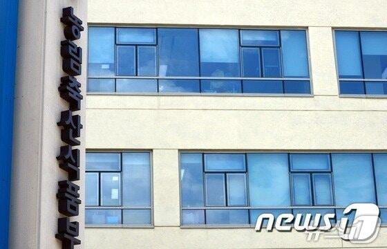 본문 이미지 - ⓒ News1 DB