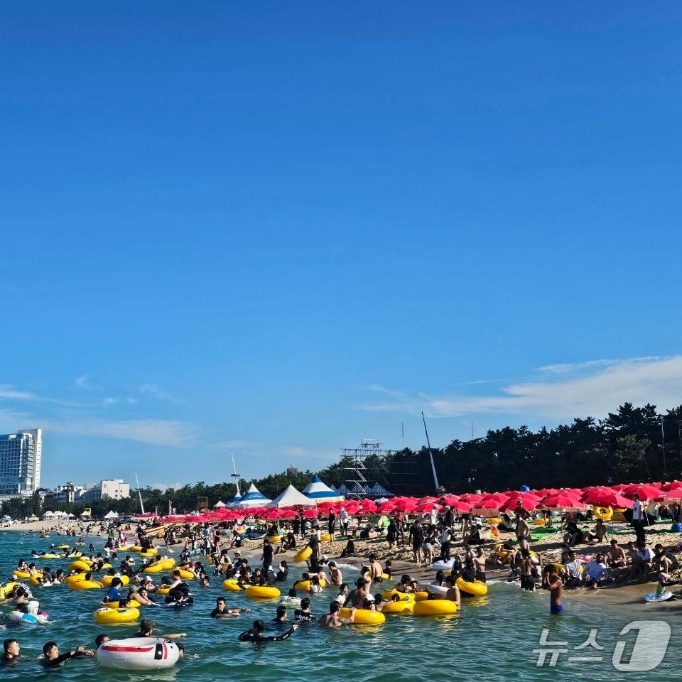 본문 이미지 - 경포해수욕장서 물놀이 즐기는 피서객.&#40;강릉시 제공, 재판매 및 DB 금지&#41; 2025.8.18/뉴스1