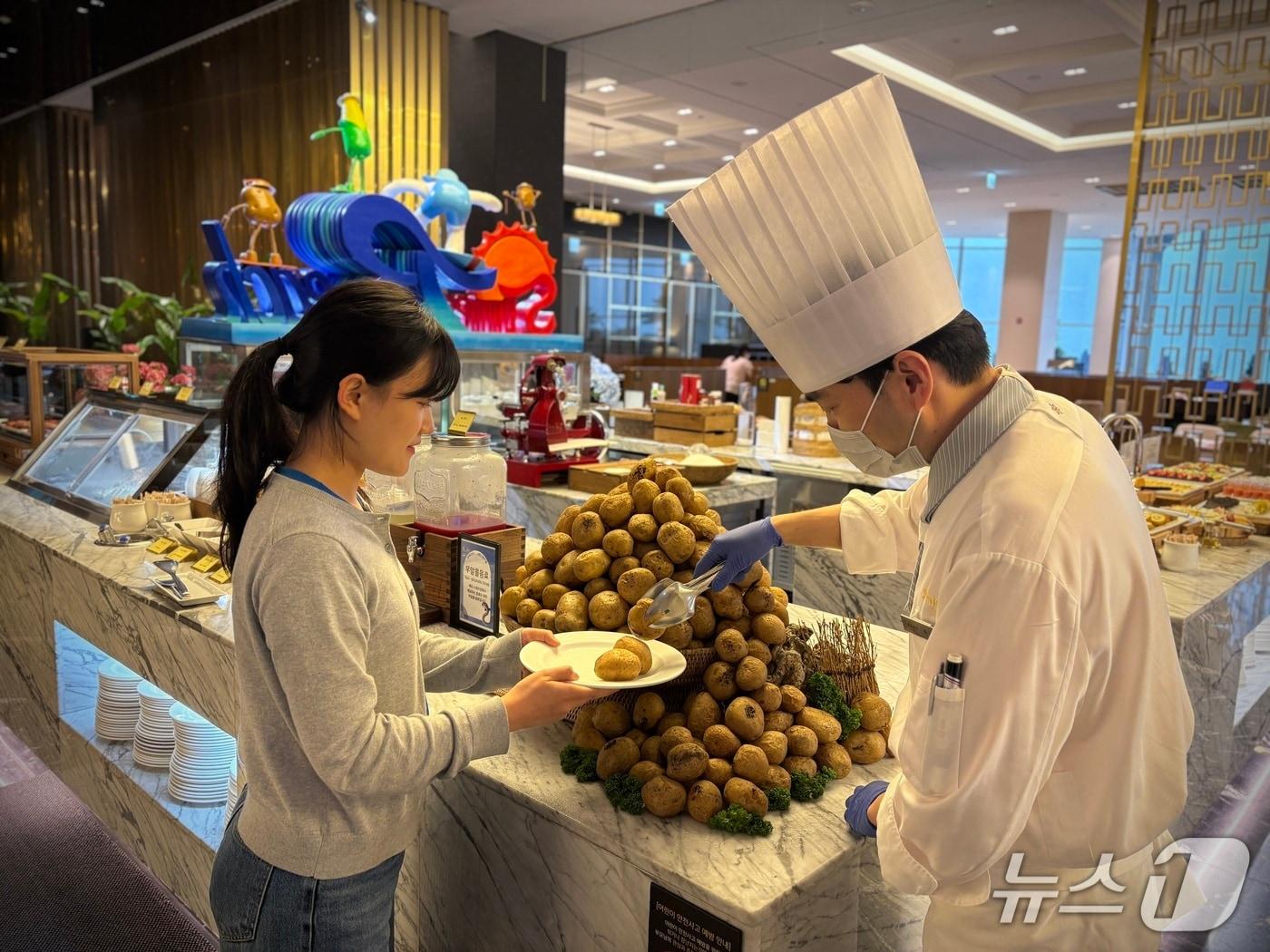 본문 이미지 - 하이원리조트에서 진행하는 지역 감자 상생 프로젝트&#40;강원랜드 제공&#41;