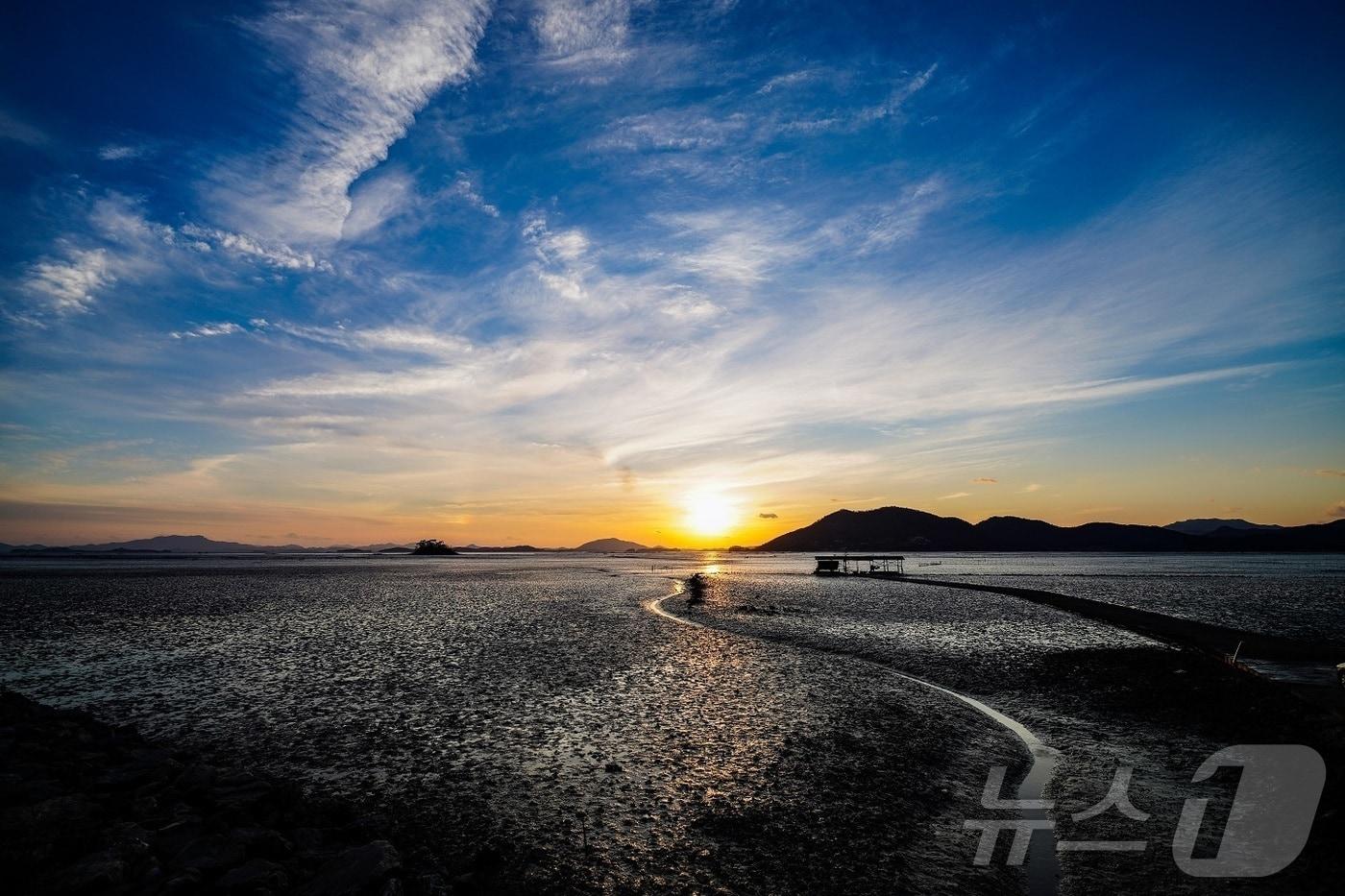 순천만습지.(순천시 제공. 재판매 및 DB 금지)