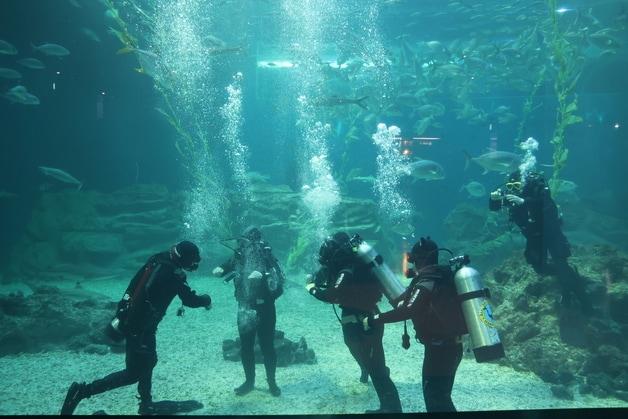 본문 이미지 - 자기성장 해양체험 프로그램 체험활동.(충북교육청 제공. 재판매 및 DB금지)/뉴스1