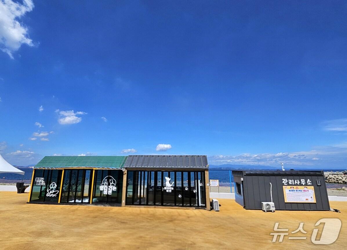 본문 이미지 - 포항시 남구 동해면 흥환리에 개장한 애완견동반해수욕장.(포항시 제공, 재판매 및 DB금자) 2025.8.18/뉴스1 