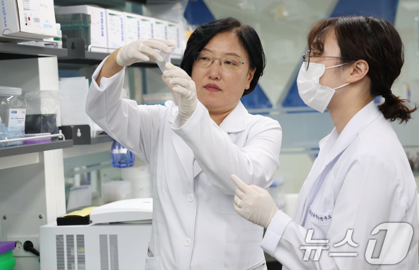 황춘홍 &#40;주&#41;다우진유전자연구소 대표이사가 18일 서울시 금천구 &#40;주&#41;다우진유전자연구소에서 유전자 검사를 하고 있다. ⓒ News1 김명섭 기자