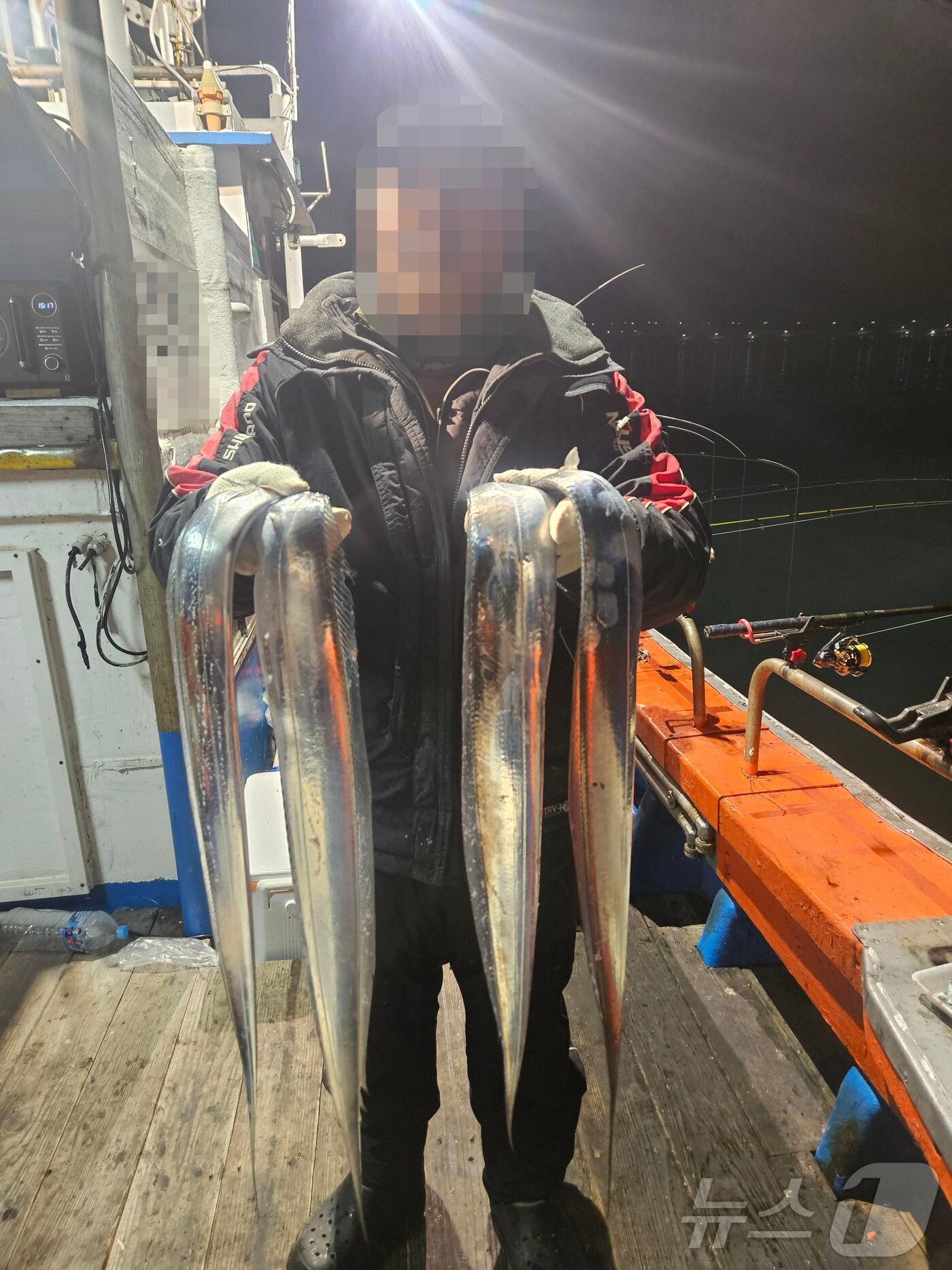 본문 이미지 - 영암군 삼호 앞바다 갈치낚시(영암군 제공. 재판매 및 DB금지) /뉴스1 