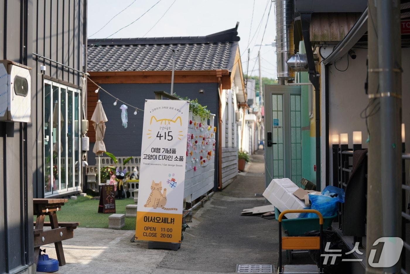 강원 속초 조양동 새마을 일대.&#40;속초시 제공, 재판매 및 DB 금지&#41; 2025.8.19/뉴스1