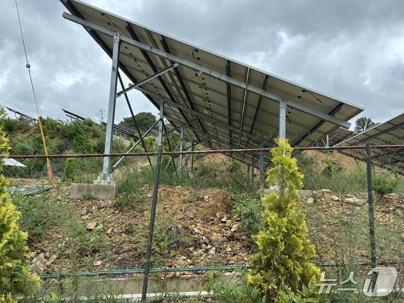 본문 이미지 - 경사지 태양광 발전시설 모습(당진시 제공. 재판매 및 DB금지)2025.8.19/뉴스1/뉴스1