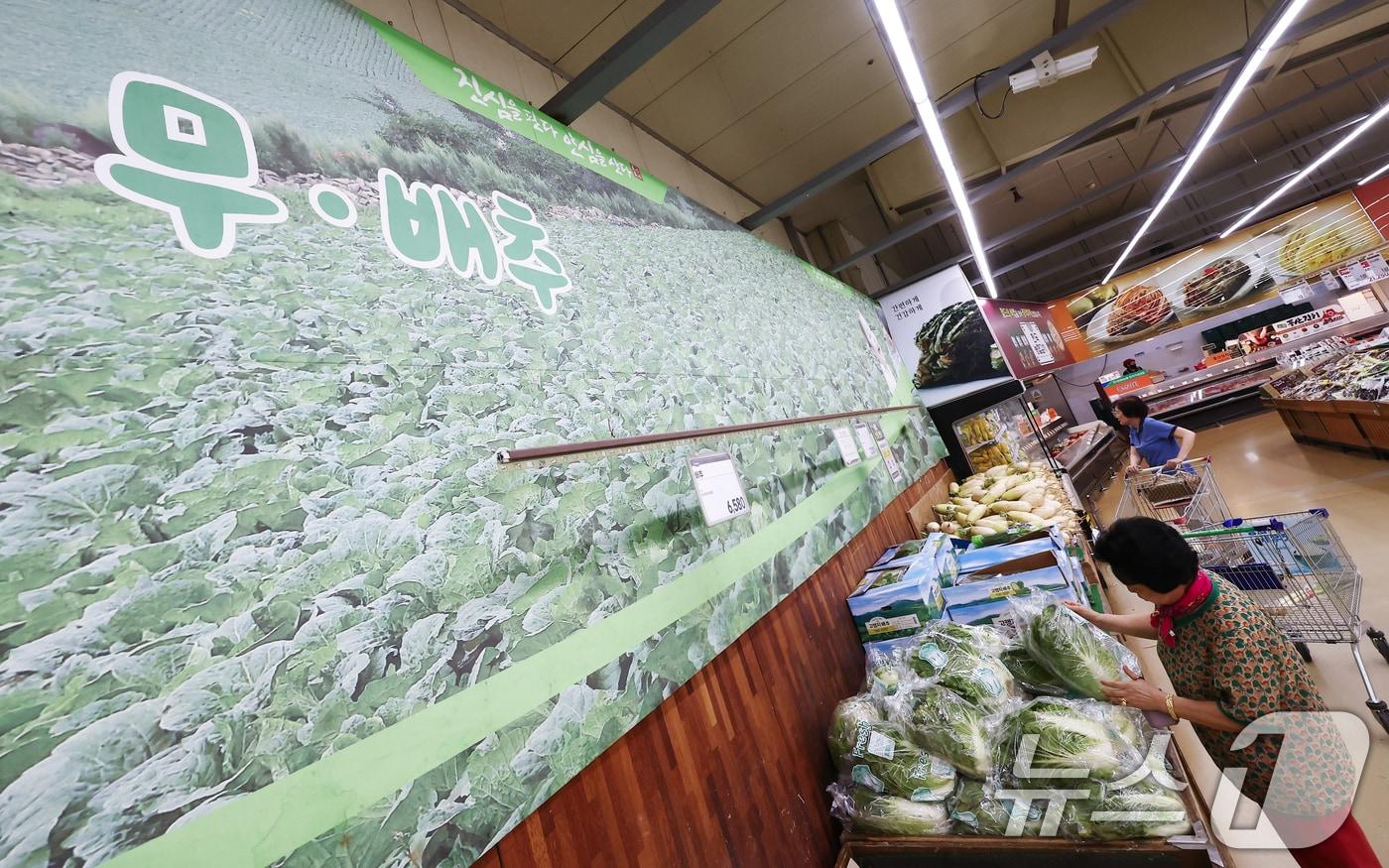 서울의 한 대형마트에서 시민들이 배추를 구매하는 모습. 2025.8.19/뉴스1 ⓒ News1 김민지 기자