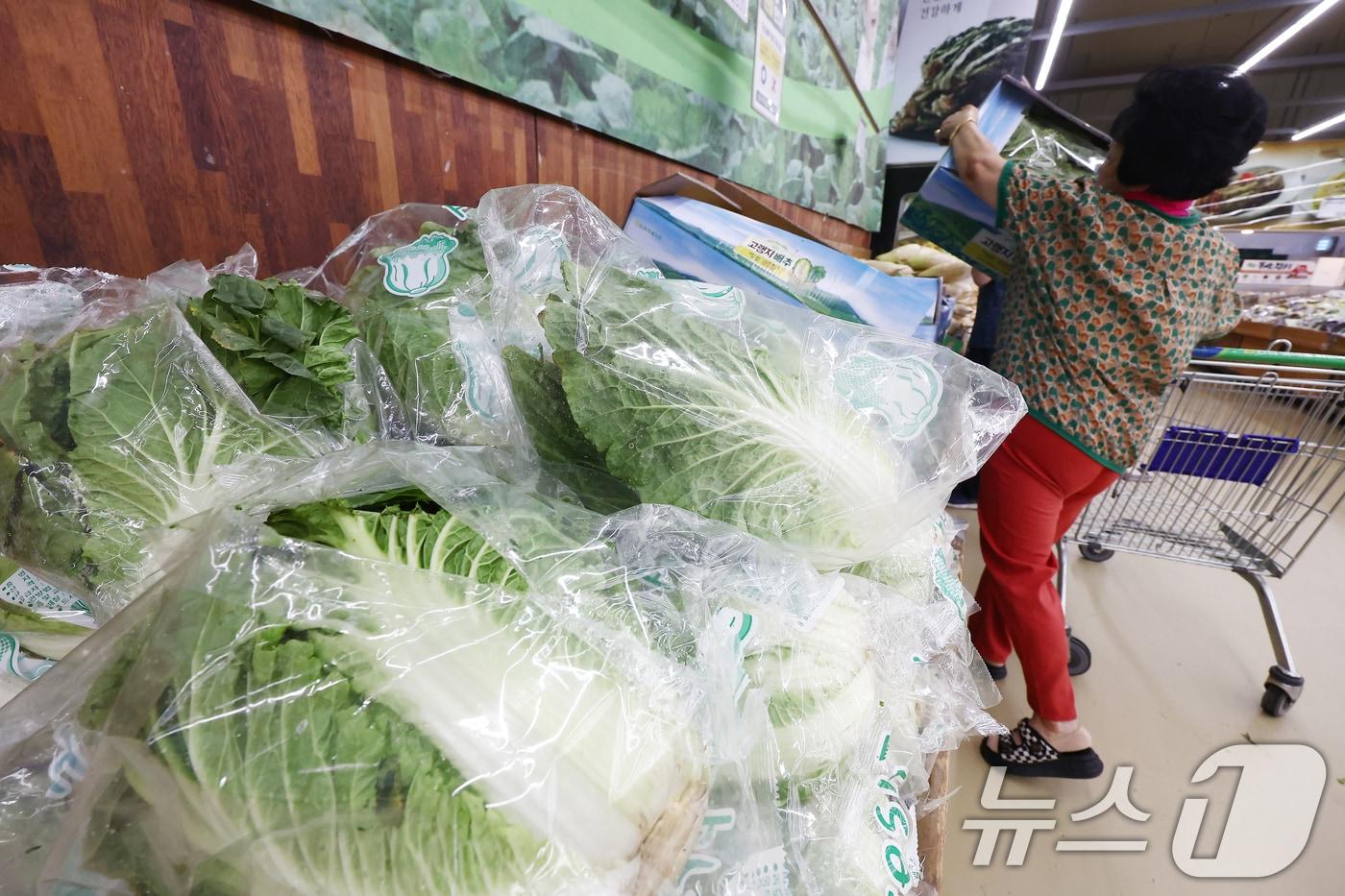 서울의 한 대형마트에서 시민들이 배추를 구매하는 모습 &#40;자료사진&#41; /뉴스1 ⓒ News1 김민지 기자