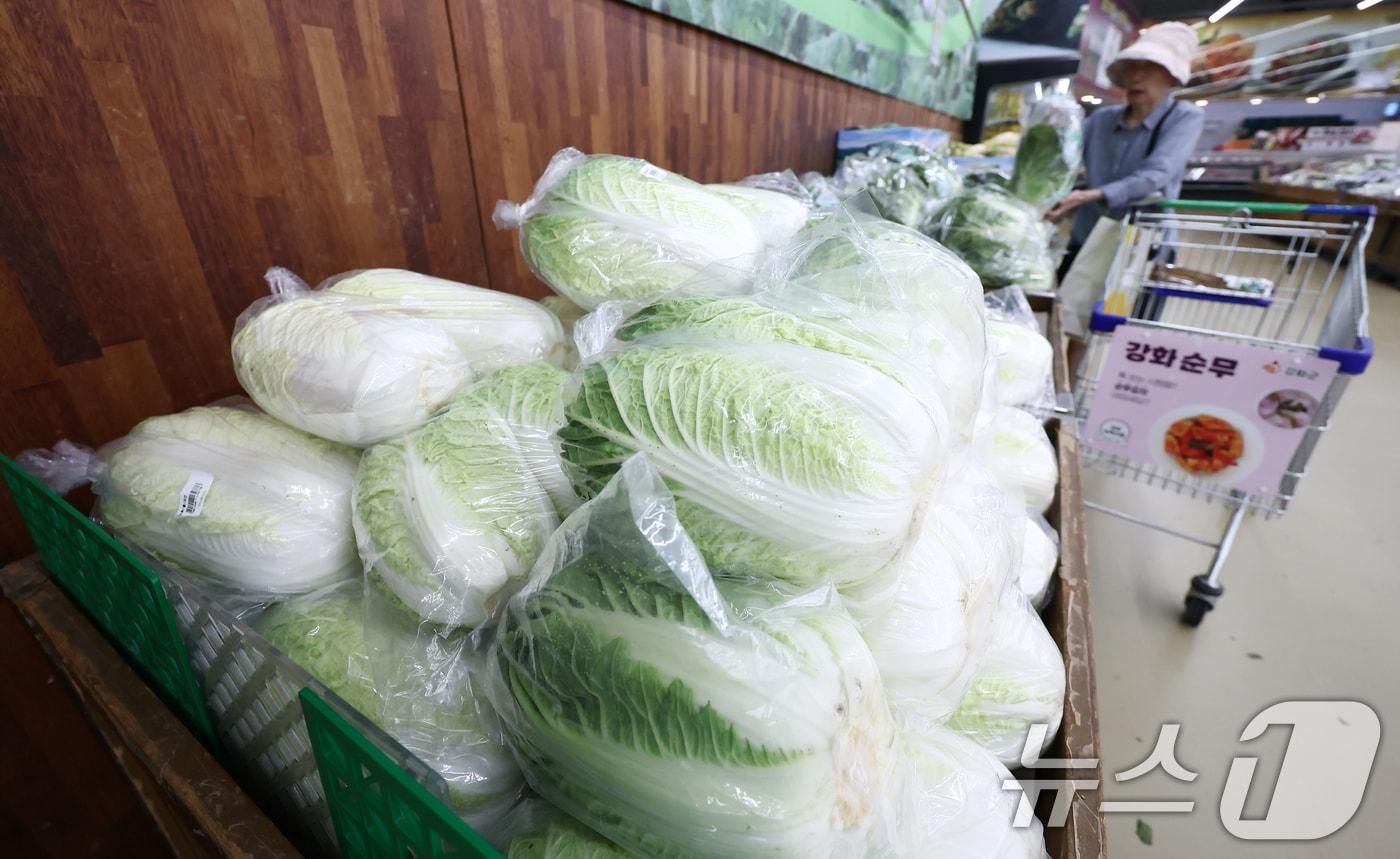 서울의 한 대형마트에서 시민들이 배추를 구매하는 모습. 2025.8.19/뉴스1 ⓒ News1 김민지 기자