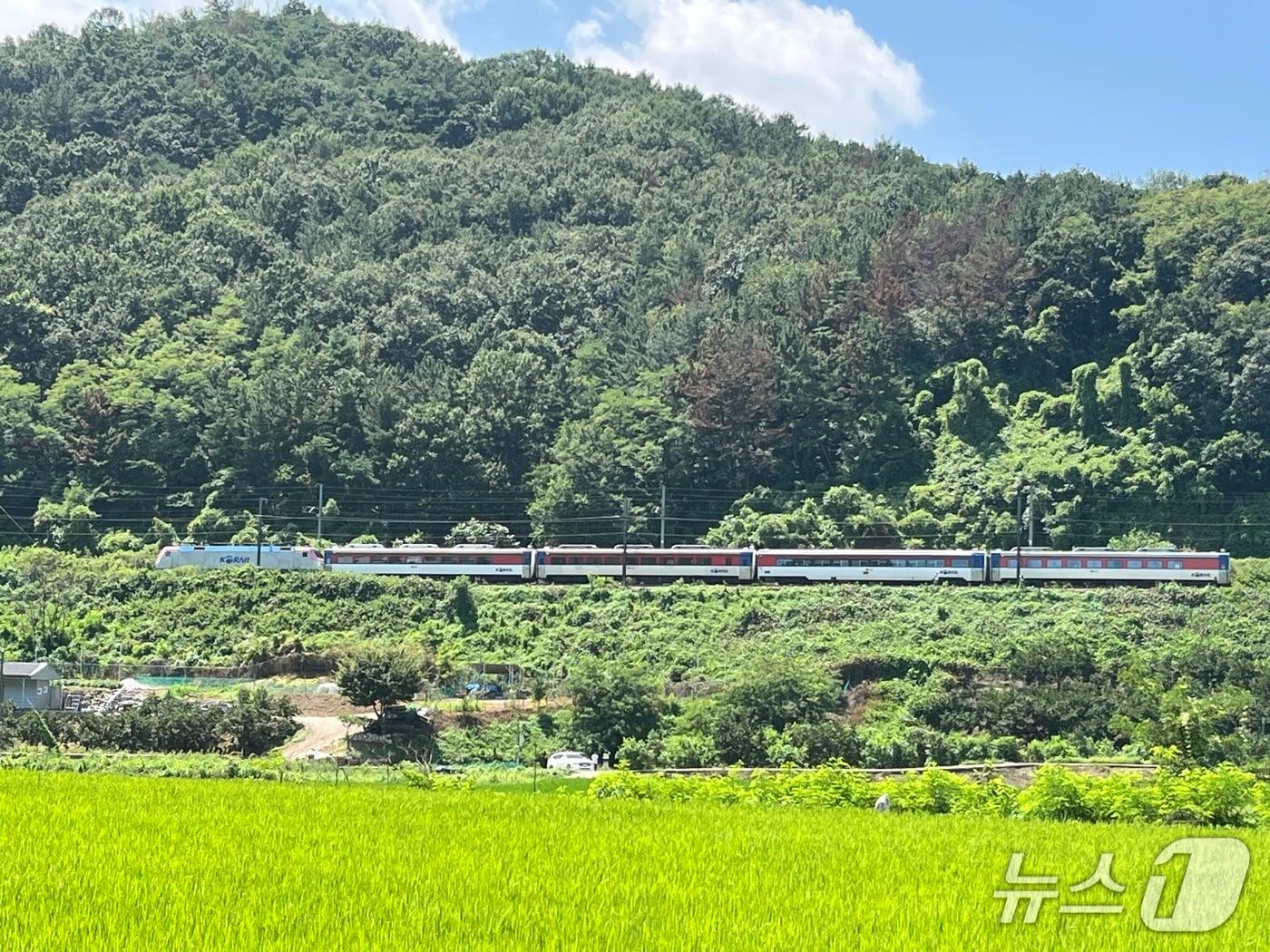 본문 이미지 - 19일 오전 10시52분쯤 경북 청도군 청도소싸움 경기장 인근 경부선 철로에서 마산으로 향하던 무궁화 열차가 선로에서 작업하던 근로자 7명을 치었다. 이 사고로 열차 운행이 1시간가량 중지됐다.2025.8.19/뉴스1 공정식 기자