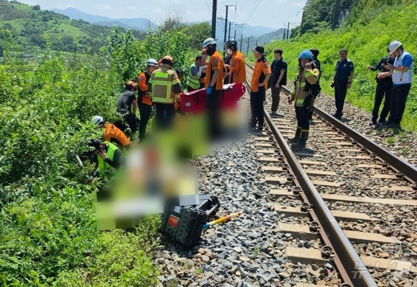 본문 이미지 - 지난 8월19일 오전 11시50분쯤 경북 청도군 경부선 철로에서 진주로 향하던 무궁화 열차가 근로자 7명을 치어 119구조대원들이 부상자를 옮기고 있다. &#40;경북소방본부 제공, 재판매 및 DB금지&#41; 2025.8.19/뉴스1 