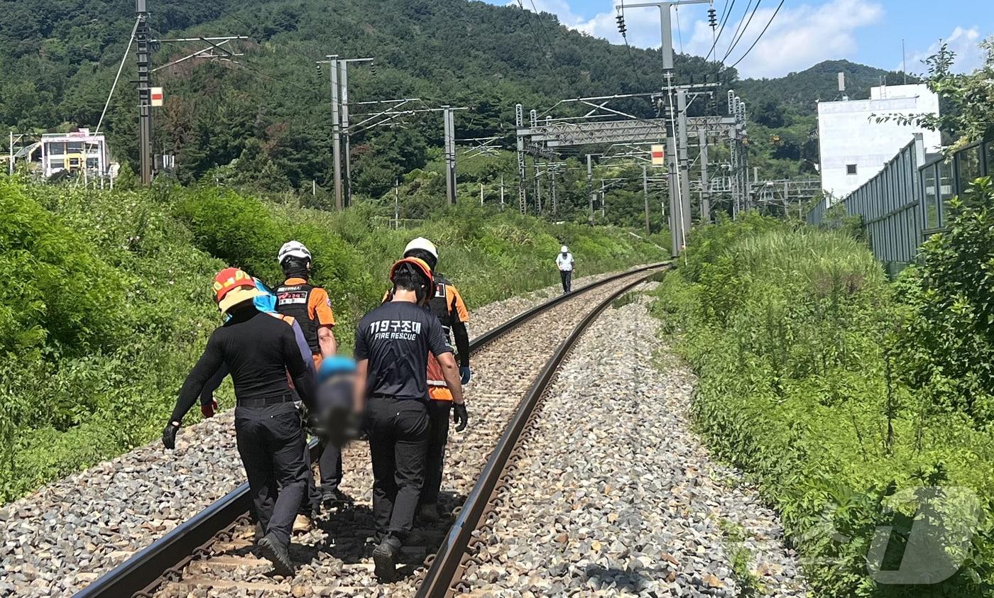 19일 오전 10시 52분쯤 경북 청도군 청도소싸움 경기장 인근 경부선 철로에서 마산으로 향하던 무궁화 열차가 선로에서 작업하던 근로자 7명을 치는 사고가 발생해 출동한 119구조대원이 부상자를 옮기고 있다.  (청도소방서 제공, 재판매 및 DB금지) 2025.8.19/뉴스1 ⓒ News1 