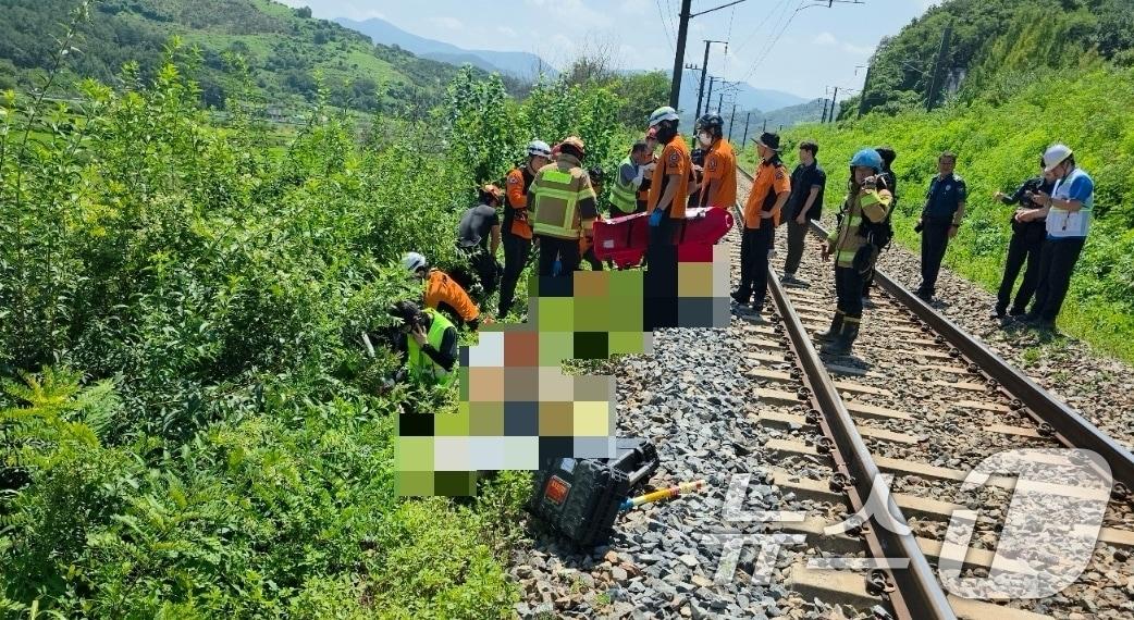 본문 이미지 - 19일 오전 10시 52분쯤 경북 청도군 청도소싸움 경기장 인근 경부선 철로에서 마산으로 향하던 무궁화 열차가 선로에서 작업하던 근로자 7명을 치는 사고가 발생해 출동한 119구조대원이 부상자 구조작업을 벌이고 있다.(경북소방본부 제공. 재판매 및 DB금지) 2025.8.19/뉴스1 ⓒ News1 정우용 기자