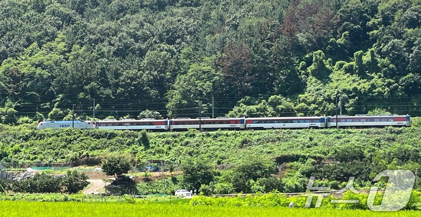 무궁화호 사고 현장 인근 모습 2025.8.19/뉴스1 ⓒ News1 공정식 기자