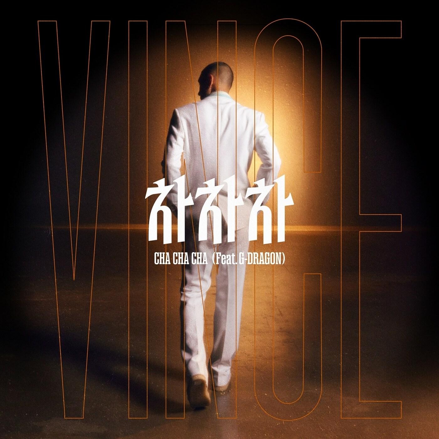 본문 이미지 - 빈스