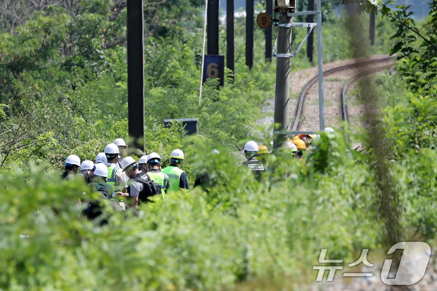 19일 오전 10시 52분쯤 경북 청도군 화양읍 삼신리 청도소싸움 경기장 인근 경부선 철로에서 마산으로 향하던 무궁화 열차가 선로에서 작업하던 근로자 7명을 치는 사고가 발생했다.  2025.8.19/뉴스1 ⓒ News1 공정식 기자
