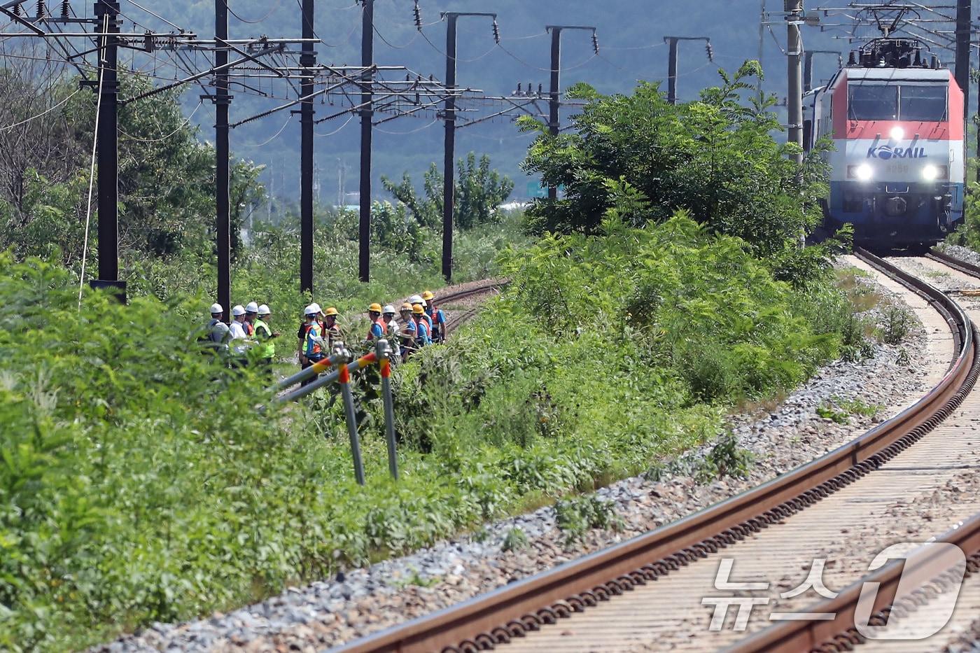 19일 오전 10시 52분쯤 경북 청도군 화양읍 삼신리 청도소싸움 경기장 인근 경부선 철로에서 마산으로 향하던 무궁화 열차가 선로에서 작업하던 근로자 7명을 치는 사고가 발생했다. 경찰과 소방, 코레일 등 관계자들이 사고 현장을 조사하는 가운데 우측으로 열차가 서행하고 있다. 2025.8.19/뉴스1 ⓒ News1 공정식 기자