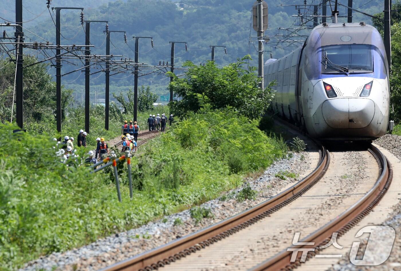 19일 오전 10시 52분쯤 경북 청도군 화양읍 삼신리 청도소싸움 경기장 인근 경부선 철로에서 마산으로 향하던 무궁화 열차가 선로에서 작업하던 근로자 7명을 치는 사고가 발생했다. 2025.8.19/뉴스1 ⓒ News1 공정식 기자