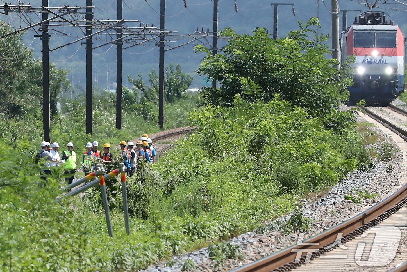 19일 오전 10시 52분쯤 경북 청도군 화양읍 삼신리 청도소싸움 경기장 인근 경부선 철로에서 마산으로 향하던 무궁화 열차가 선로에서 작업하던 근로자 7명을 치는 사고가 발생했다. 경찰과 소방, 코레일 등 관계자들이 사고 현장을 조사하는 가운데 우측으로 열차가 서행하고 있다. 2025.8.19/뉴스1 ⓒ News1 공정식 기자
