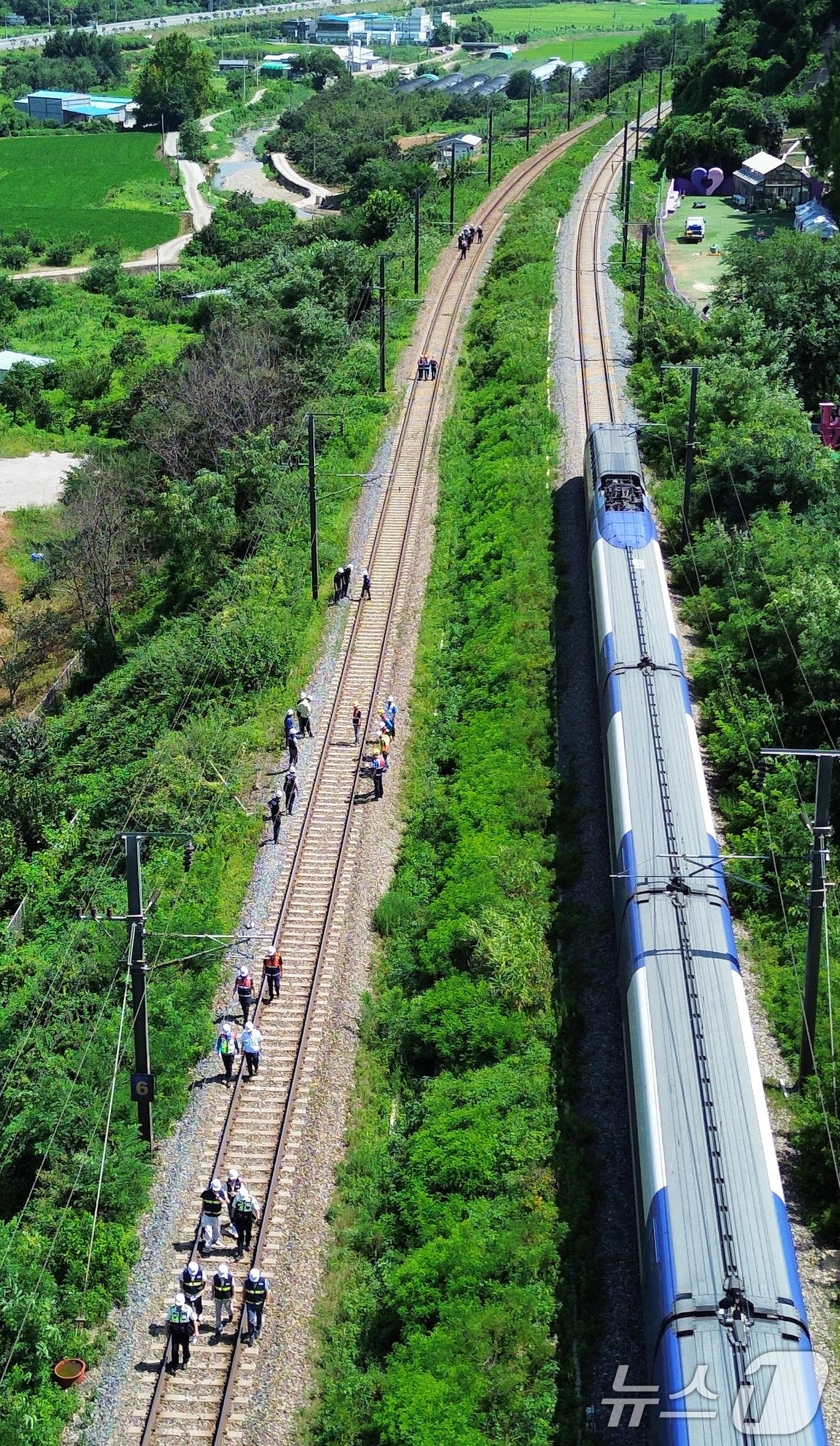 본문 이미지 - 19일 오전 10시 52분쯤 경북 청도군 화양읍 삼신리 경부선 철로에서 무궁화 열차가 근로자 7명을 치는 사고가 발생한 가운데 경찰과 소방, 코레일 등 관계자들이 사고 현장을 조사하고 있다. 2025.8.19/뉴스1 ⓒ News1 공정식 기자