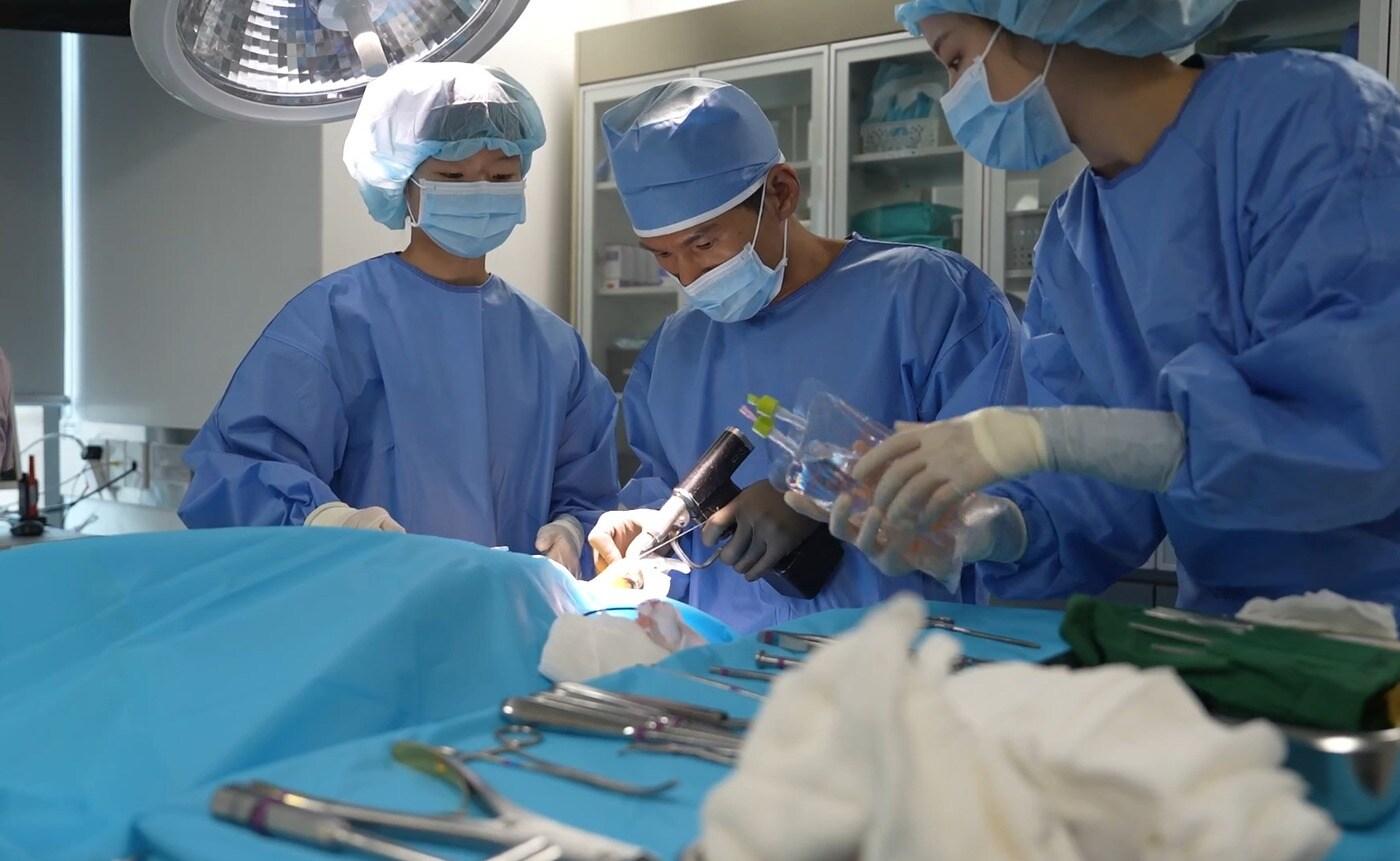 정형외과 수술 중인 권기범 예은동물의료센터 원장(동물병원 제공) ⓒ 뉴스1