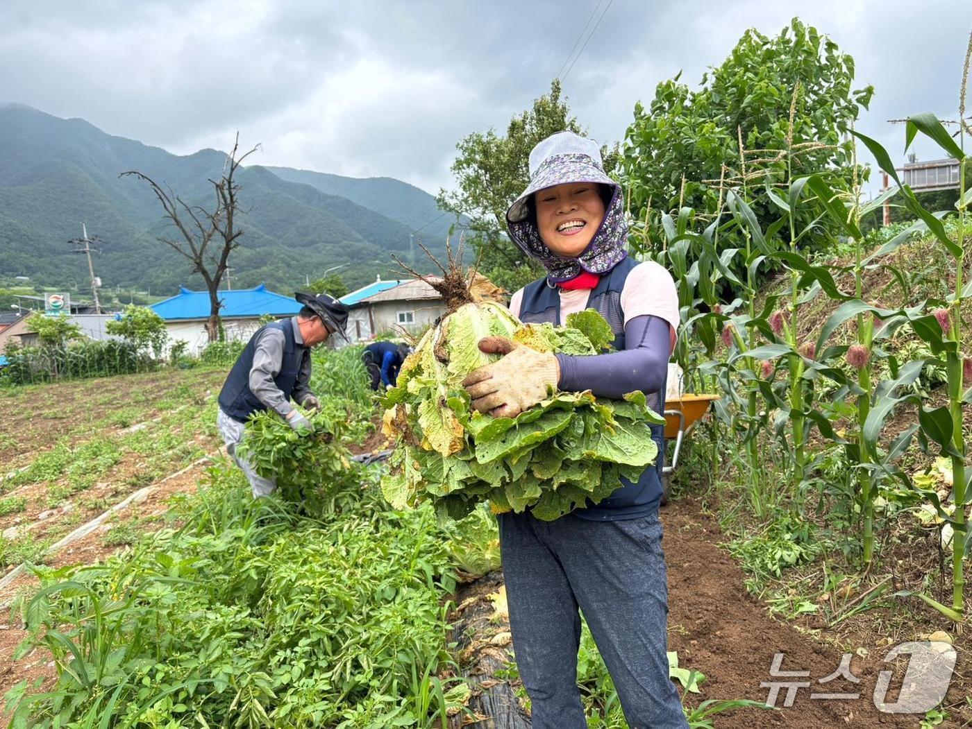 본문 이미지 -  단양에서 살아보기(삼태산농촌체험휴양마을).(단양군 제공. 재판매 및 DB금지)./뉴스1