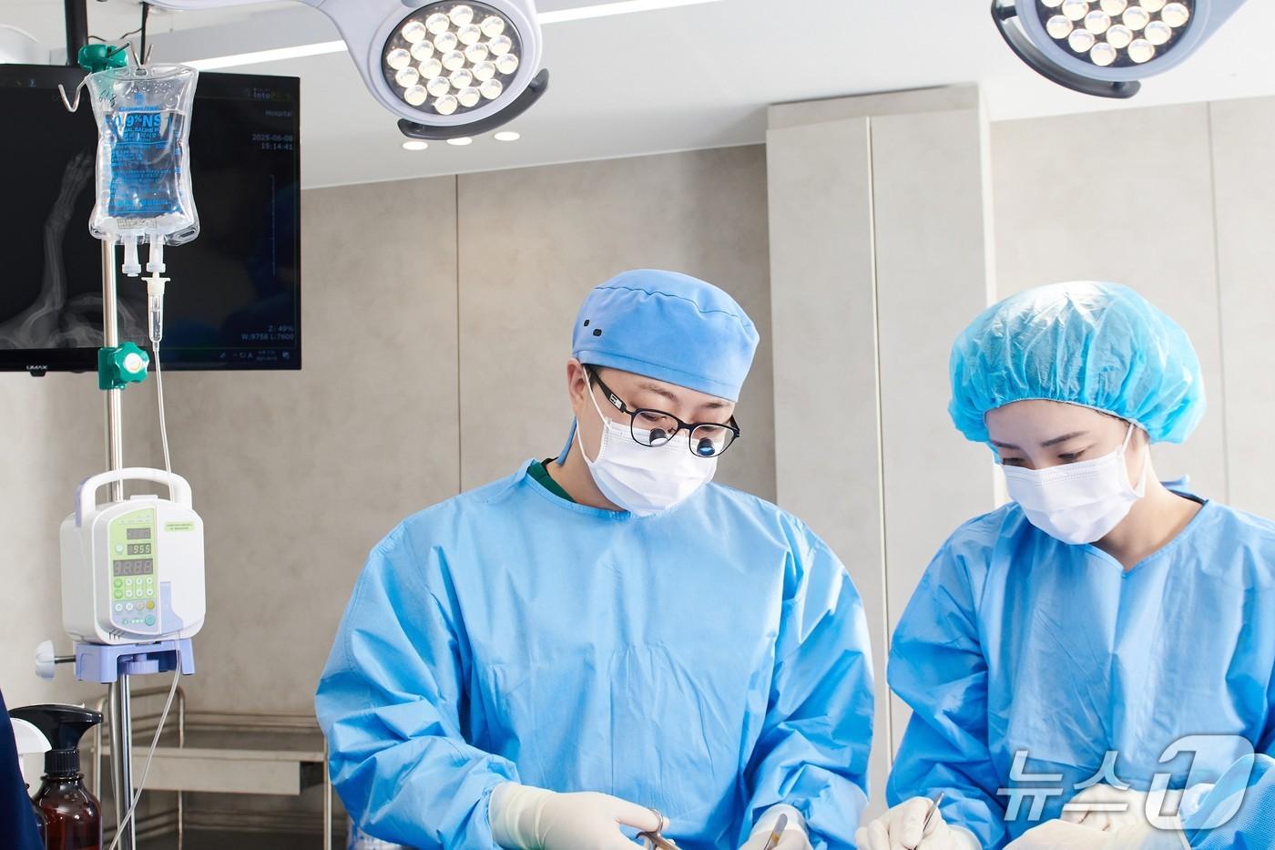 반려동물 관절 수술을 하고 있는 수의사(돌봄동물의료센터 제공) ⓒ 뉴스1