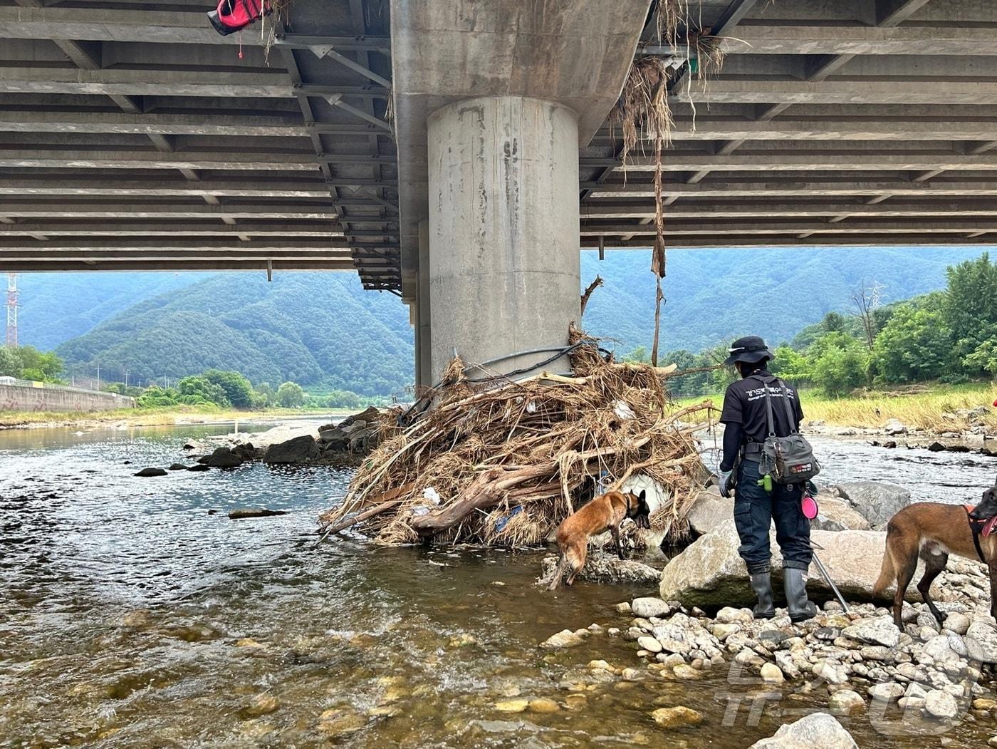 본문 이미지 - 2일 경기 가평군에서 소방 당국이 수해 실종자 수색 작업을 하고 있다.(경기도북부소방재난본부 제공, 재판매 및 DB 금지) 2025.8.2/뉴스1 ⓒ News1 양희문 기자