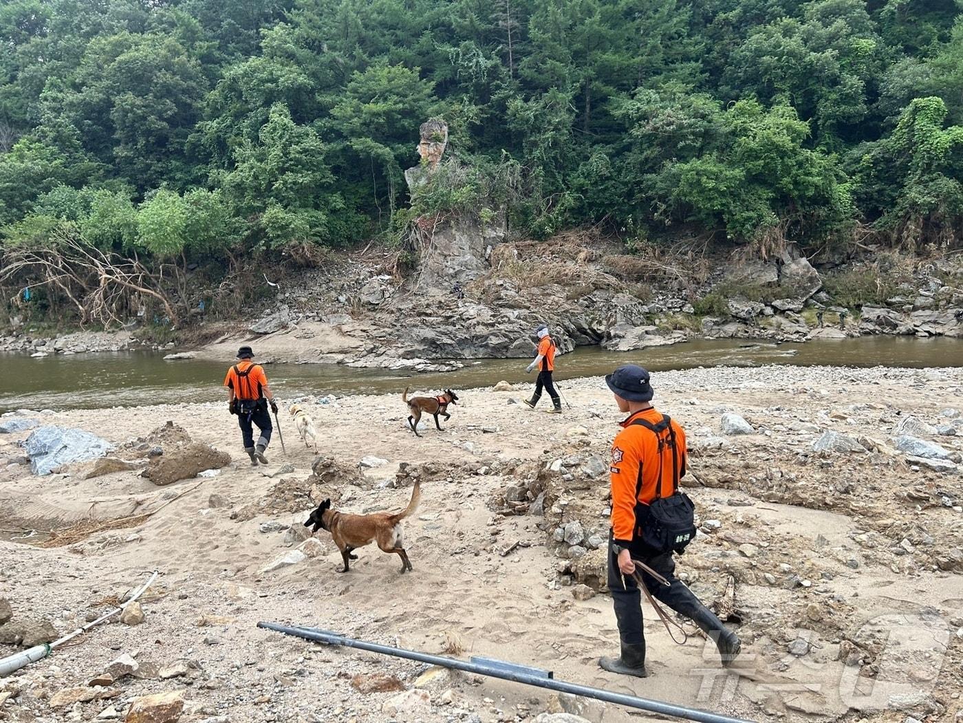 본문 이미지 - 2일 경기 가평군에서 소방 당국이 수해 실종자 수색 작업을 하고 있다.&#40;경기도북부소방재난본부 제공, 재판매 및 DB 금지&#41; 2025.8.2/뉴스1 ⓒ News1 양희문 기자