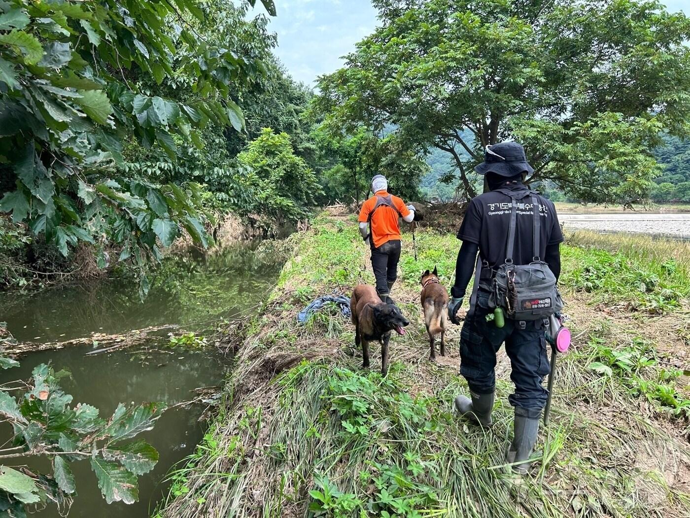 본문 이미지 - 2일 경기 가평군에서 소방 당국이 수해 실종자 수색 작업을 하고 있다.(경기도북부소방재난본부 제공, 재판매 및 DB 금지) 2025.8.2/뉴스1 