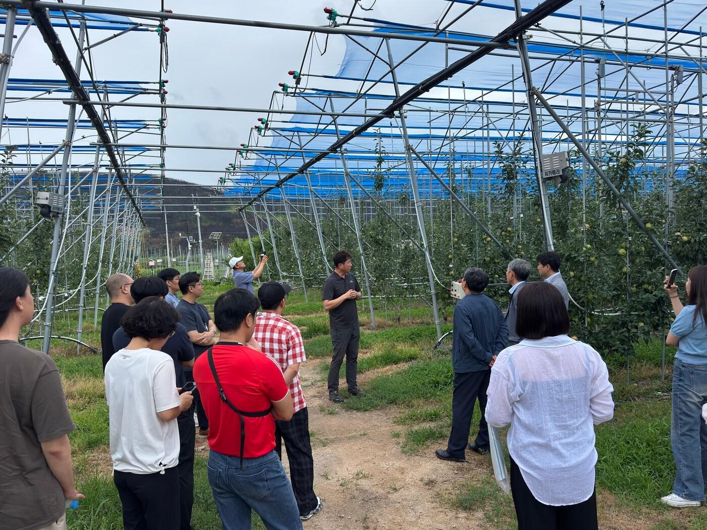 본문 이미지 - 농촌진흥청 사과연구센터 현장기술지원단 컨설팅 모습 &#40;농촌진흥청 제공&#41; 2025.08.03 /뉴스1