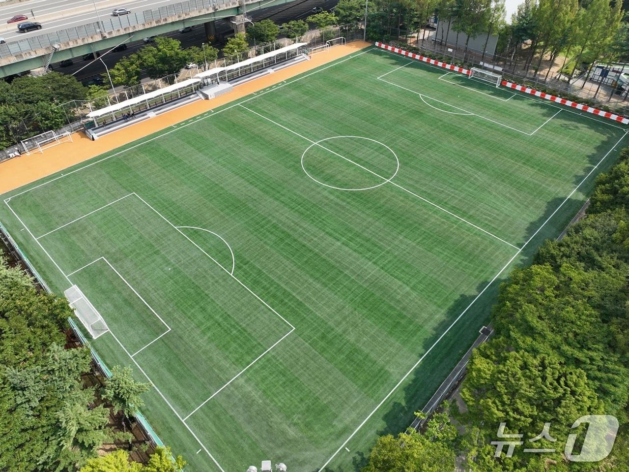 본문 이미지 - 새 인조잔디를 설치한 자유공원 축구장 모습 (안양시 제공. 재판매 및 DB금지)/뉴스1