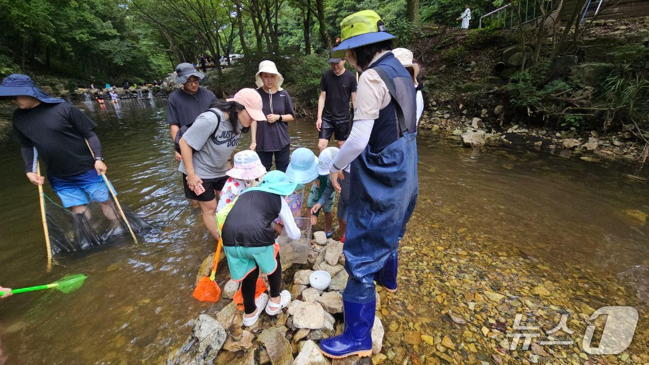 본문 이미지 - 금산산림문화타운 여름철 특별프로그램 모습(금산군 제공.재판매 및 DB금지)/뉴스1