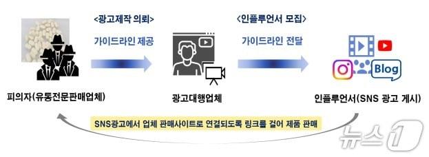 본문 이미지 - 위반 행위 모식도.(식품의약품안전처 제공)