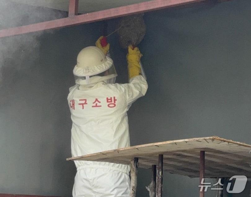 본문 이미지 - 벌집을 제거하는 소방 대원. (대구소방본부 제공. 재판매 및 DB 금지)/뉴스1